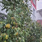 Helle Mit Balkon 120qm, 4zimmer Dortmund