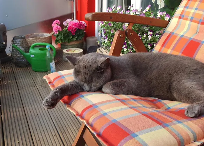 Helle Mit Balkon 120qm, 4zimmer 아파트