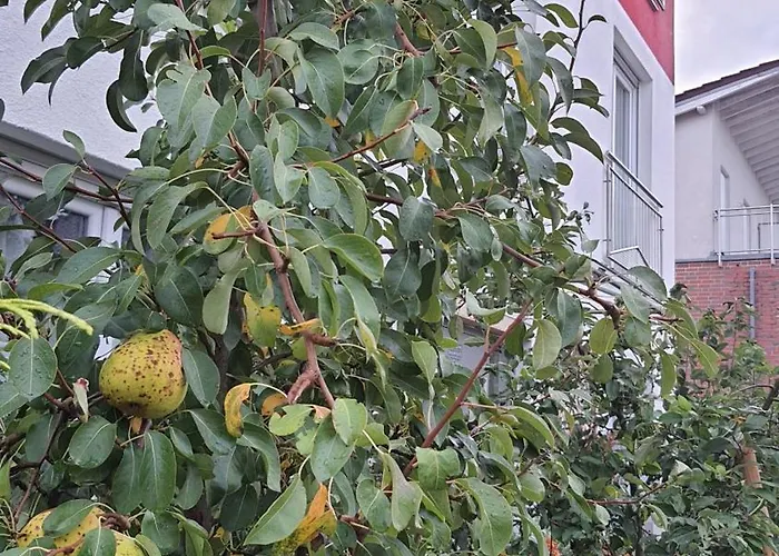 Helle Mit Balkon 120qm, 4zimmer 도르트문트