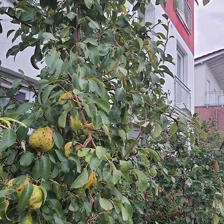 Helle Mit Balkon 120qm, 4zimmer Dortmund